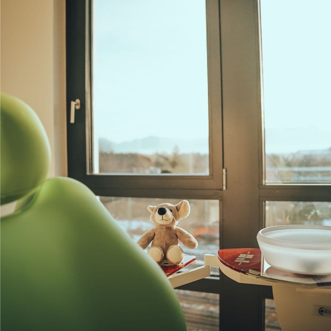 Kuscheltier im Behandlungszimmer vor einem großen Fenster